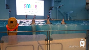 横浜・八景島シーパラダイスに投稿された画像（2021/3/13）