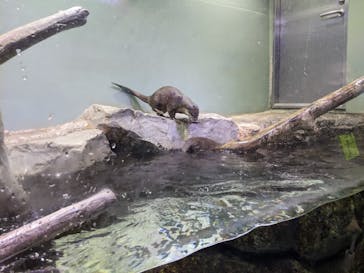 マクセル アクアパーク品川に投稿された画像（2021/3/13）