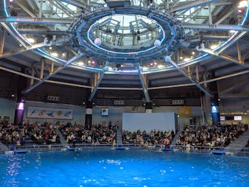 マクセル アクアパーク品川に投稿された画像（2021/3/13）