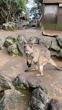 伊豆シャボテン動物公園に投稿された画像（2021/3/13）