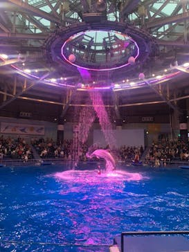 マクセル アクアパーク品川に投稿された画像（2021/3/13）