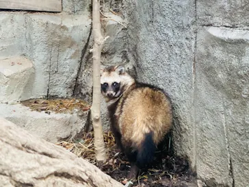 天王寺動物園に投稿された画像（2021/3/13）