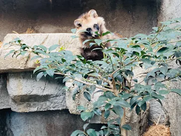 天王寺動物園に投稿された画像（2021/3/13）