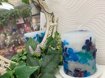 ずこうしつ〜sugamo〜に投稿された画像（2021/3/13）