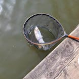 大安トラウトレイクに投稿された画像（2021/3/13）