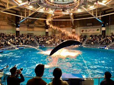 マクセル アクアパーク品川に投稿された画像（2021/3/13）