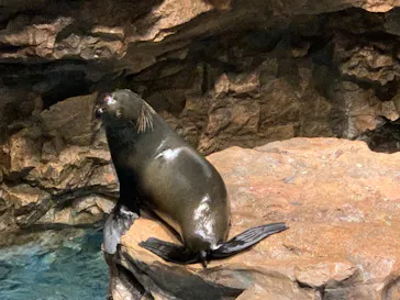 すみだ水族館に投稿された画像（2021/3/13）