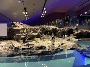 すみだ水族館に投稿された画像（2021/3/13）