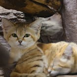 那須どうぶつ王国に投稿された画像（2021/3/14）