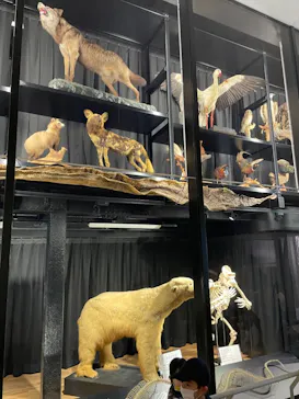 天王寺動物園に投稿された画像（2021/3/14）