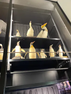 天王寺動物園に投稿された画像（2021/3/14）