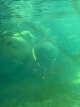 天王寺動物園に投稿された画像（2021/3/14）