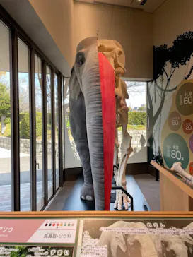 天王寺動物園に投稿された画像（2021/3/14）