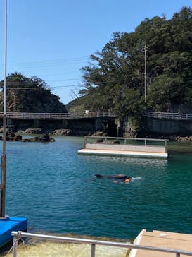 下田海中水族館に投稿された画像（2021/3/14）