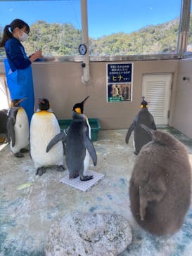 下田海中水族館に投稿された画像（2021/3/14）