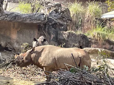 天王寺動物園に投稿された画像（2021/3/14）