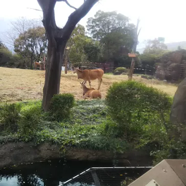 天王寺動物園に投稿された画像（2021/3/13）