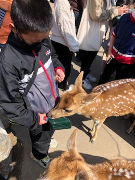 神戸どうぶつ王国に投稿された画像（2021/3/14）