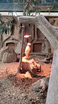 那須どうぶつ王国に投稿された画像（2021/3/14）