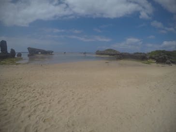 武藤潜水に投稿された画像（2021/3/14）