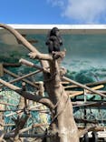 天王寺動物園に投稿された画像（2021/3/14）
