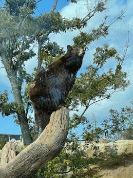 神戸どうぶつ王国に投稿された画像（2021/3/14）