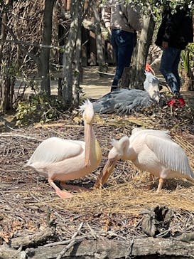 神戸どうぶつ王国に投稿された画像（2021/3/14）