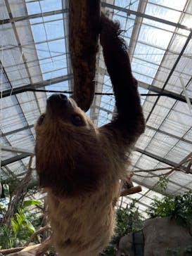 神戸どうぶつ王国に投稿された画像（2021/3/14）