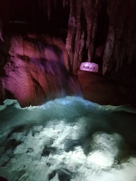 おきなわワールドに投稿された画像（2021/3/14）