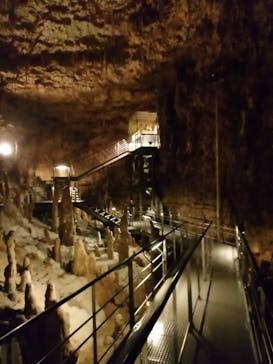 おきなわワールドに投稿された画像（2021/3/14）