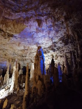 おきなわワールドに投稿された画像（2021/3/14）