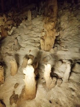 おきなわワールドに投稿された画像（2021/3/14）