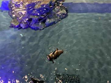 すみだ水族館に投稿された画像（2021/3/14）