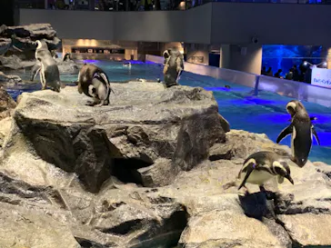 すみだ水族館に投稿された画像（2021/3/14）