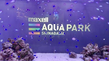 マクセル アクアパーク品川に投稿された画像（2021/3/14）