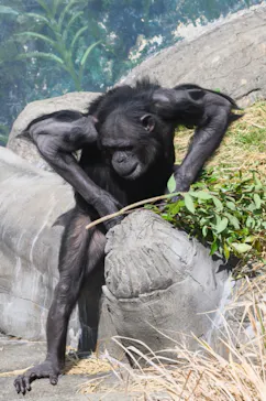 天王寺動物園に投稿された画像（2021/3/14）