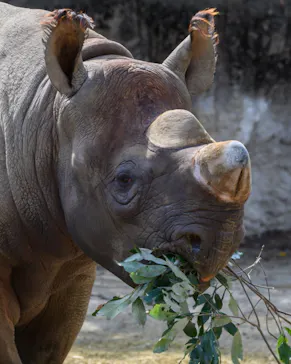 天王寺動物園に投稿された画像（2021/3/14）