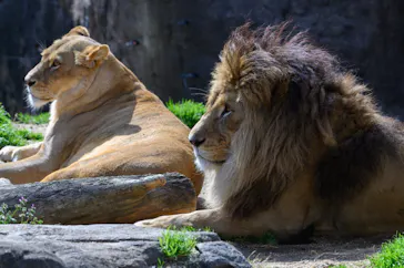 天王寺動物園に投稿された画像（2021/3/14）