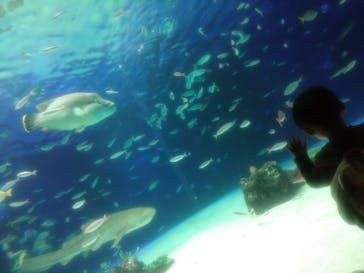 サンシャイン水族館に投稿された画像（2021/3/14）