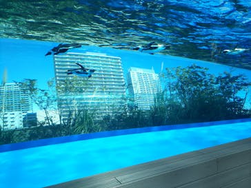 サンシャイン水族館に投稿された画像（2021/3/14）