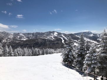 志賀高原焼額山スキー場に投稿された画像（2021/3/14）