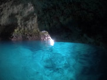 武藤潜水に投稿された画像（2021/3/14）