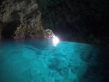 武藤潜水に投稿された画像（2021/3/14）