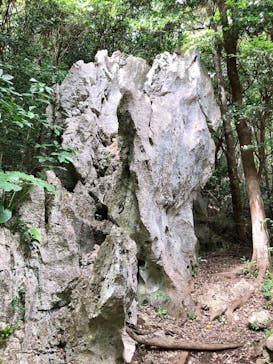 アスムイハイクスに投稿された画像（2021/3/14）