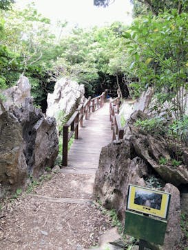 アスムイハイクスに投稿された画像（2021/3/14）