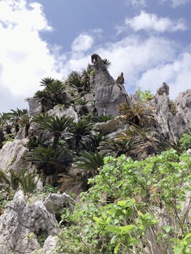 アスムイハイクスに投稿された画像（2021/3/14）