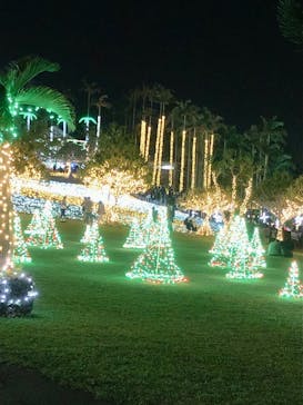 美らヤシパークオキナワ・東南植物楽園に投稿された画像（2020/12/25）