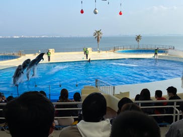 マリンワールド海の中道に投稿された画像（2021/3/14）