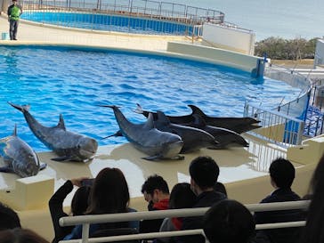 マリンワールド海の中道に投稿された画像（2021/3/14）