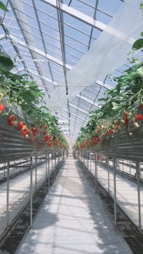 いのさんの観光農園に投稿された画像（2021/3/14）